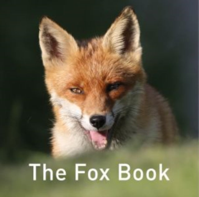 Nature Book Series the Fox Book