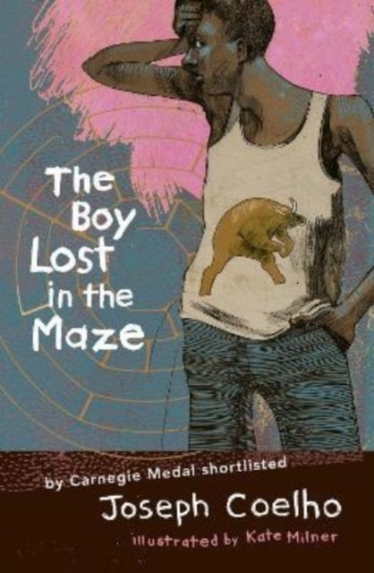 The Boy Lost In The Maze