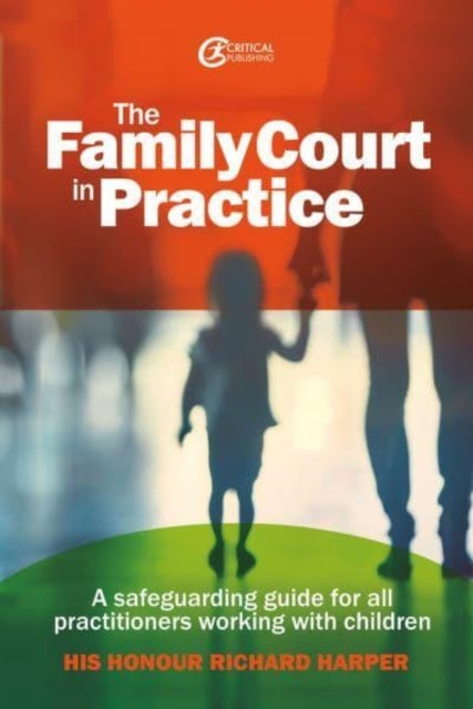 The Family Court In Practicea Safeguarding Guide For All Pra