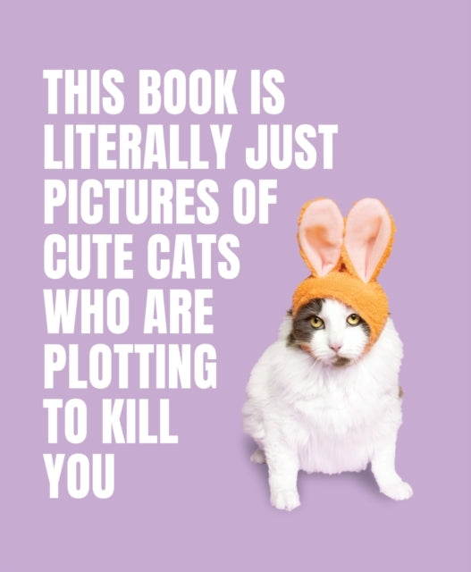 This Book Is Literally Just Pictures of Cute Cats Who Are Pl