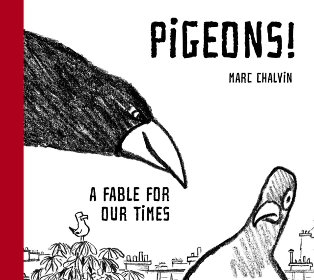 Pigeons!