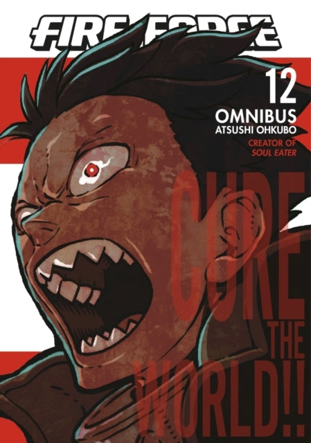 Fire Force Omnibus 12 (vol. 33-34)