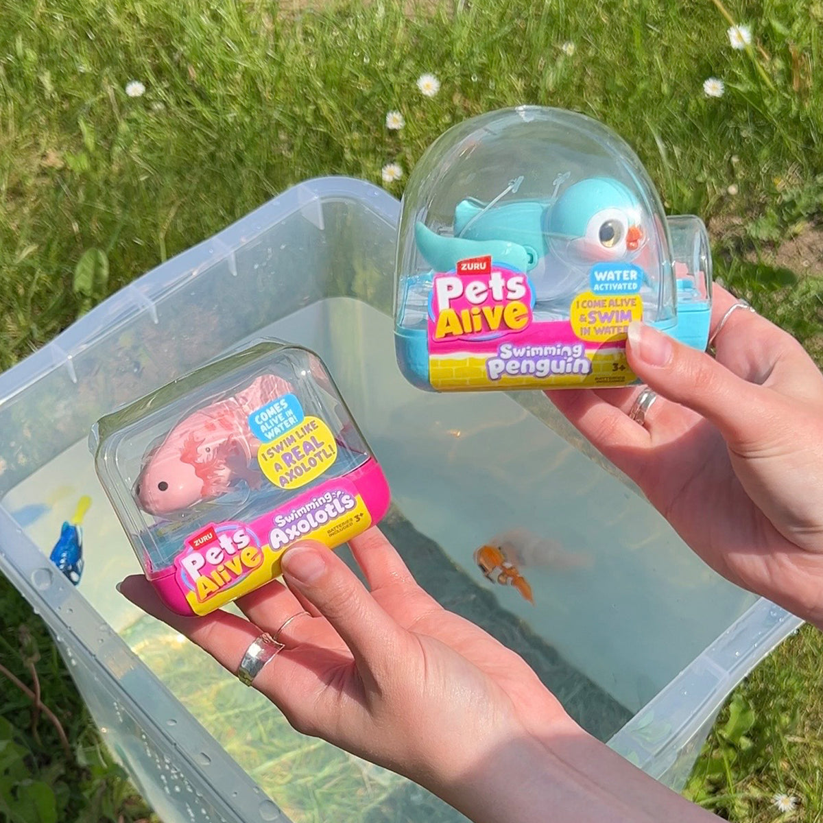 Pets Alive Axolotl ass