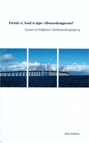 Forstår vi, hvad vi siger i Øresundsregionen?