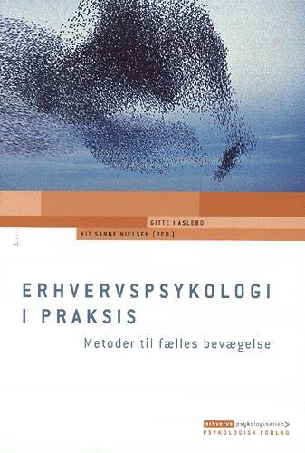 Erhvervspsykologi i praksis