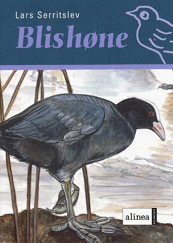 Fuglekassen Blishøne, Hæfte
