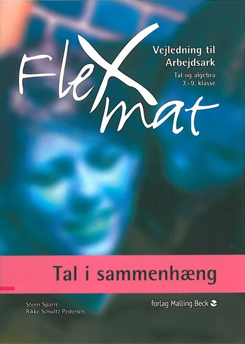 FlexMat, Tal i sammenhæng, Vejledning til Arbejdsark