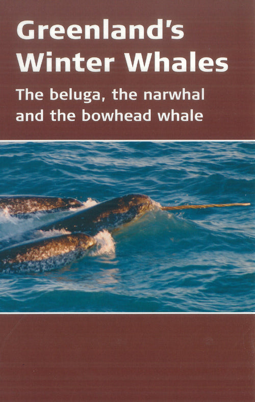 Greenland´s winter whales