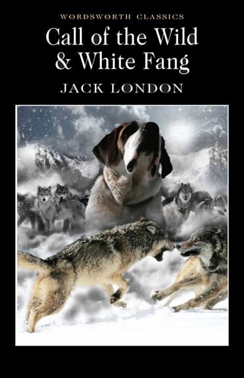 Call of The Wild & White Fang