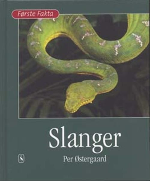 D1 Slanger