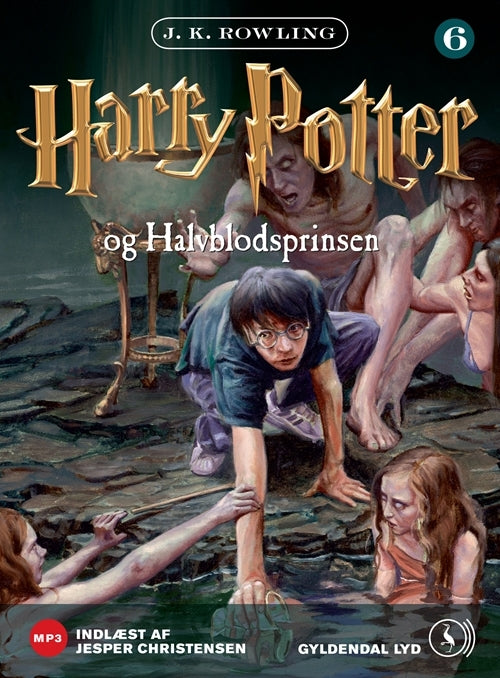 D1 Harry Potter 6 - Harry Potter og Halvblodsprinsen