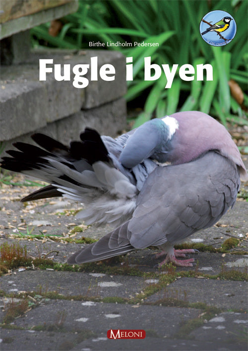 Fugle i byen
