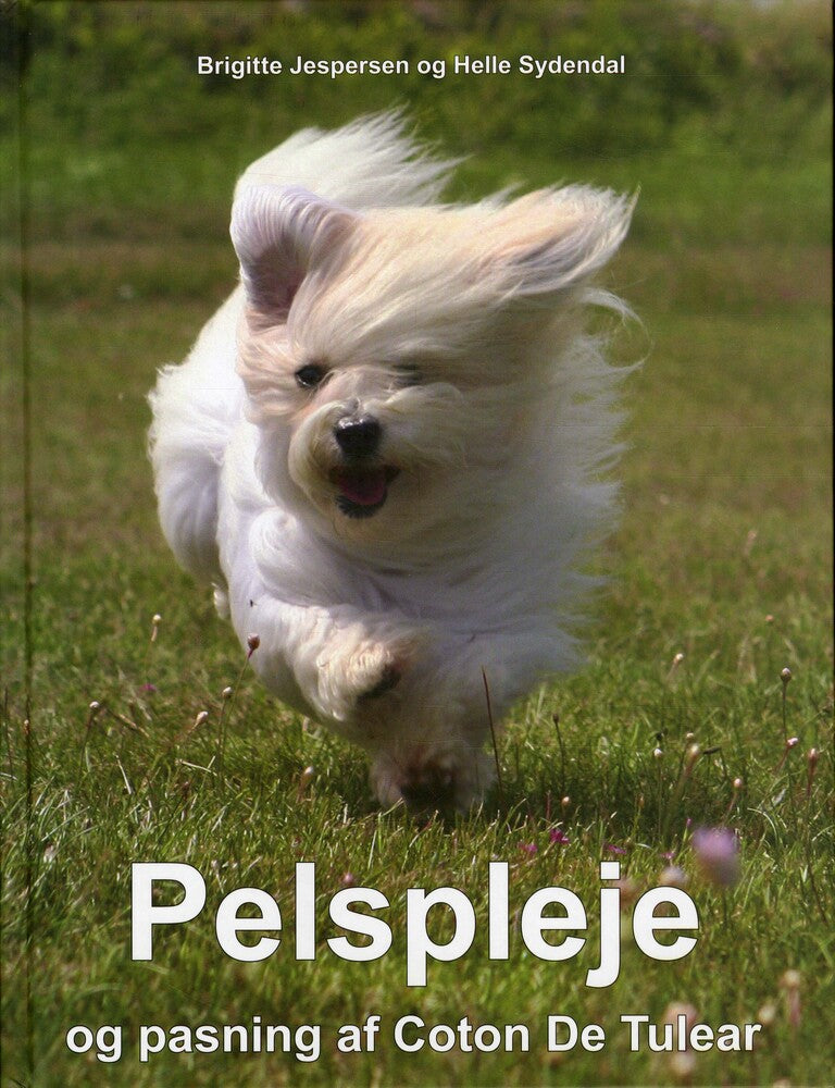 D1 Pelspleje og pasning af Coton De Tulear