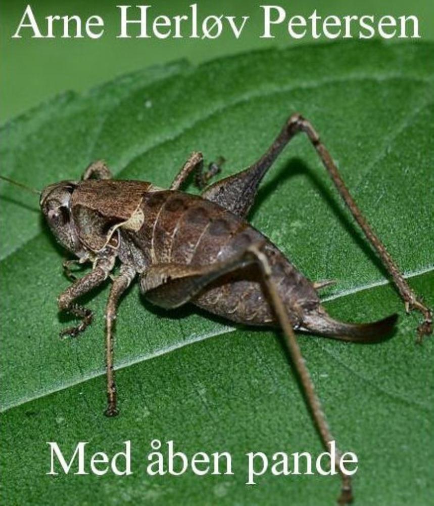 Med åben pande