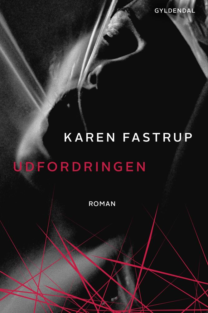 Udfordringen