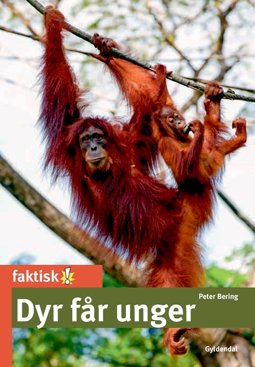 Dyr får unger