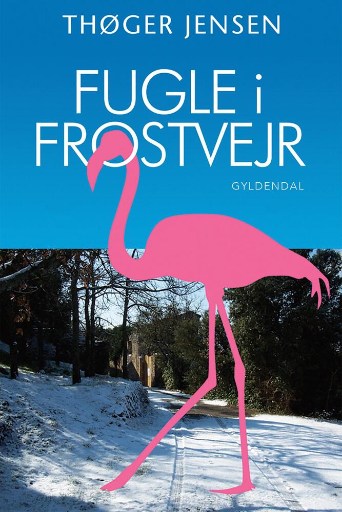 Fugle i frostvejr