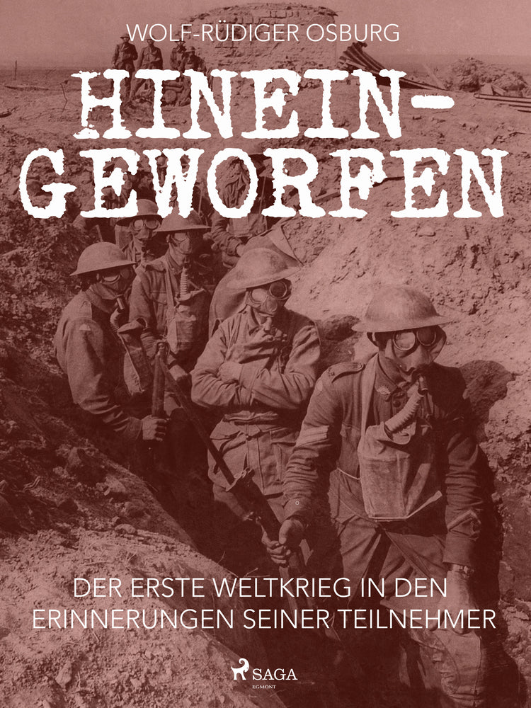 Hineingeworfen: Der Erste Weltkrieg in den Erinnerungen seiner Teilnehmer