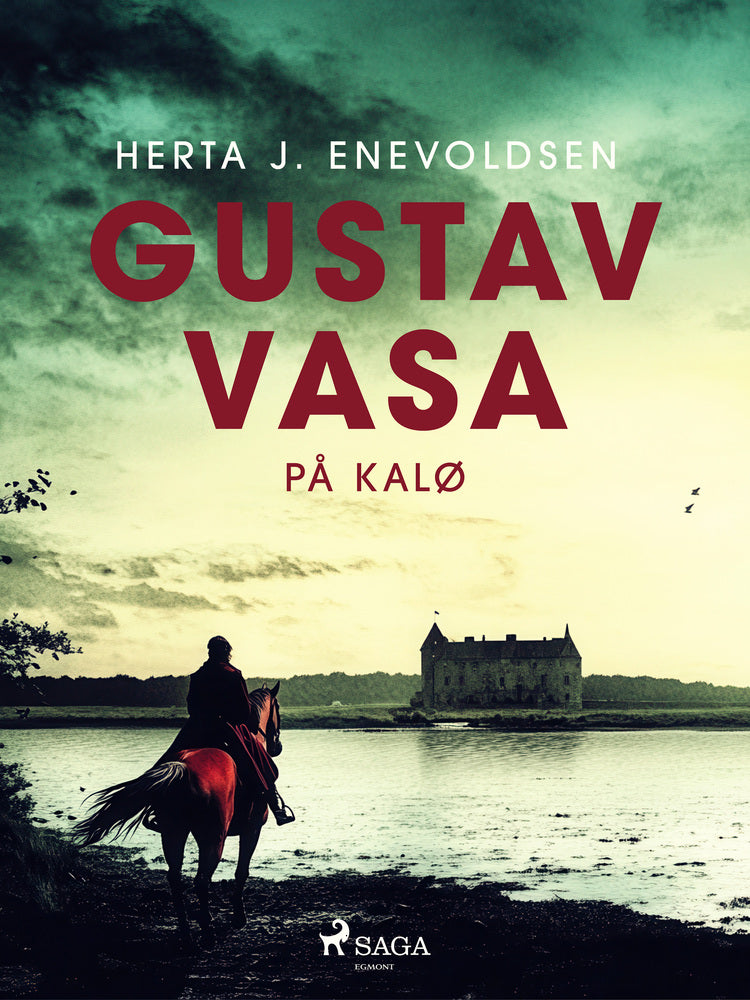 Gustav Vasa på Kalø