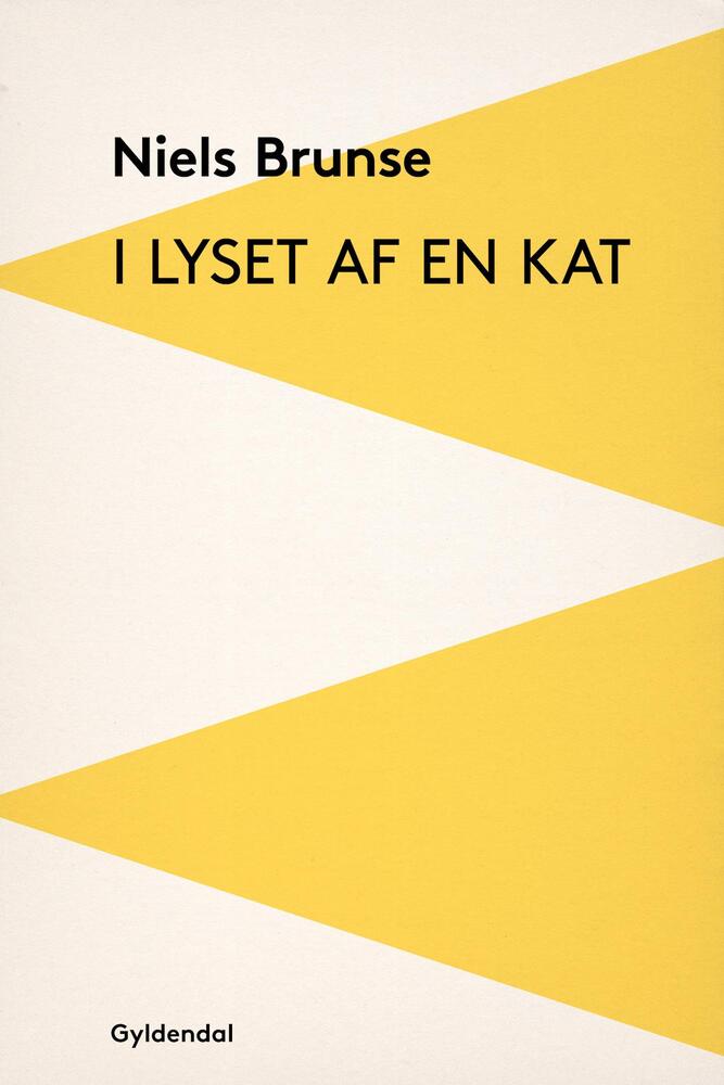 I lyset af en kat