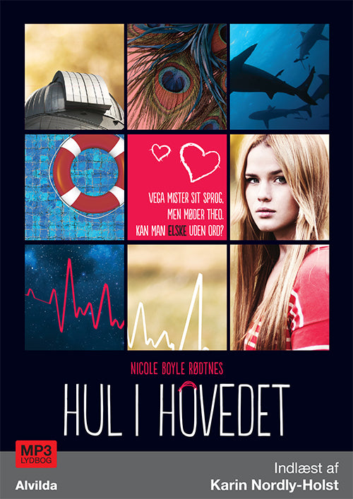 Hul i hovedet