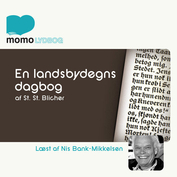 En landsbydegns Dagbog