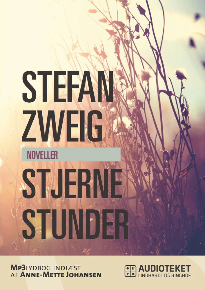 Stjernestunder