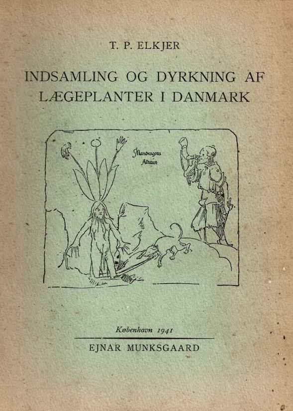 Lægeurter i Danmark