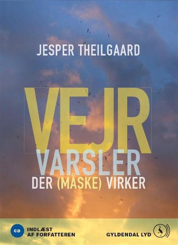 Vejrvarsler der måske virker