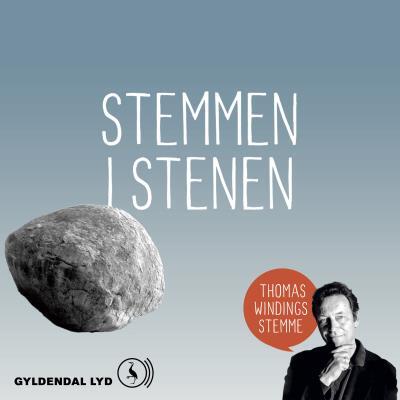 Stemmen i stenen