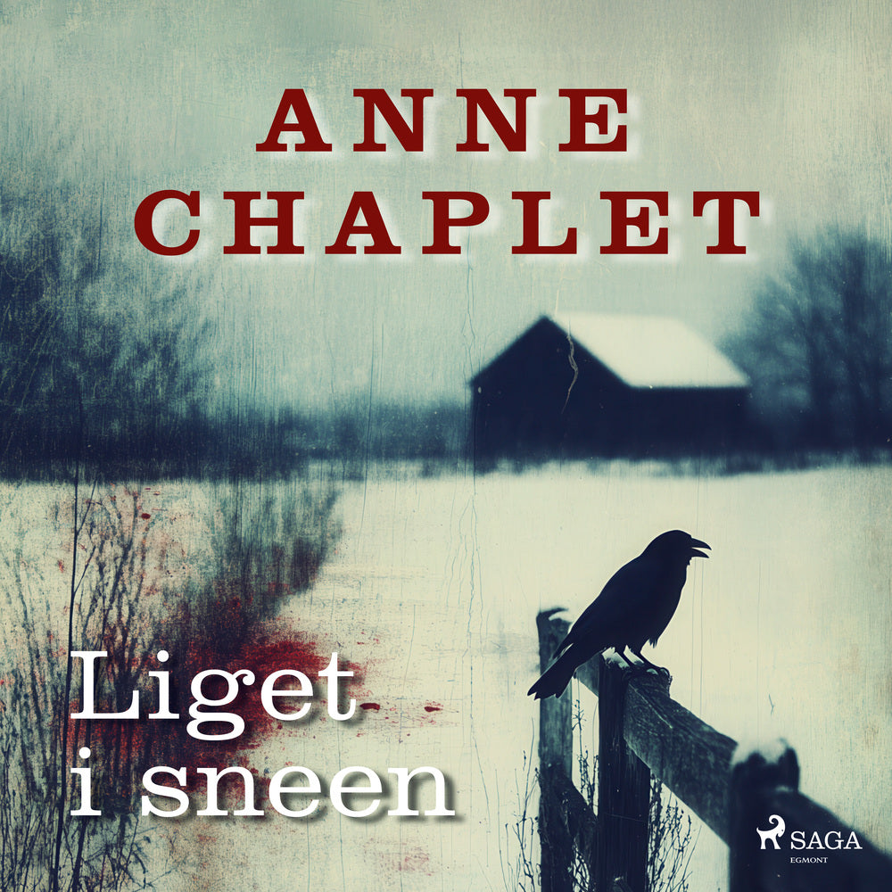 Liget i sneen