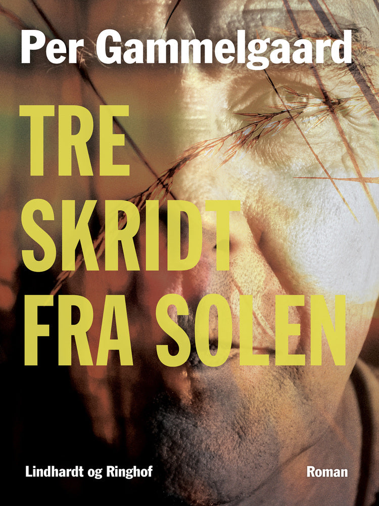 Tre skridt fra solen