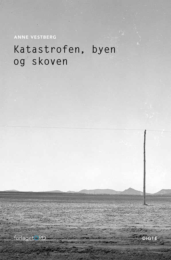 Katastrofen, byen og skoven