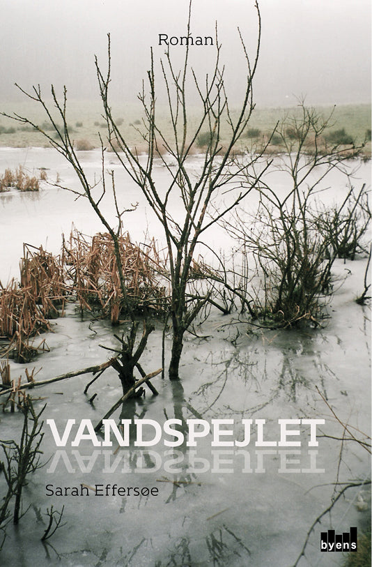Vandspejlet