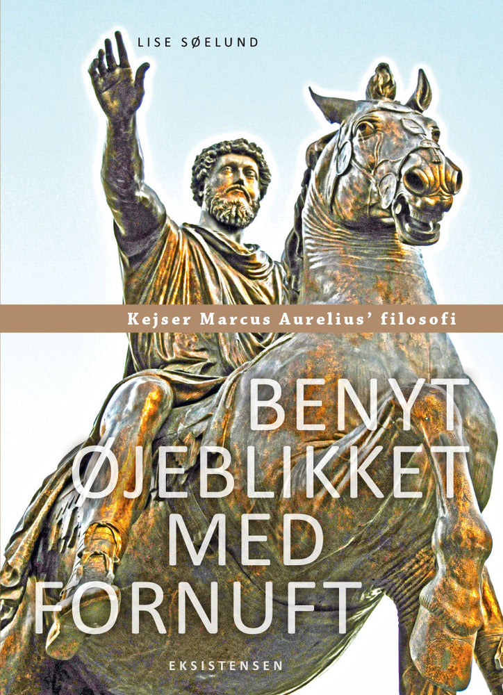 Benyt øjeblikket med fornuft