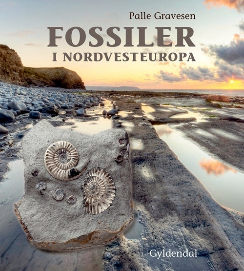 Fossiler i Nordvesteuropa