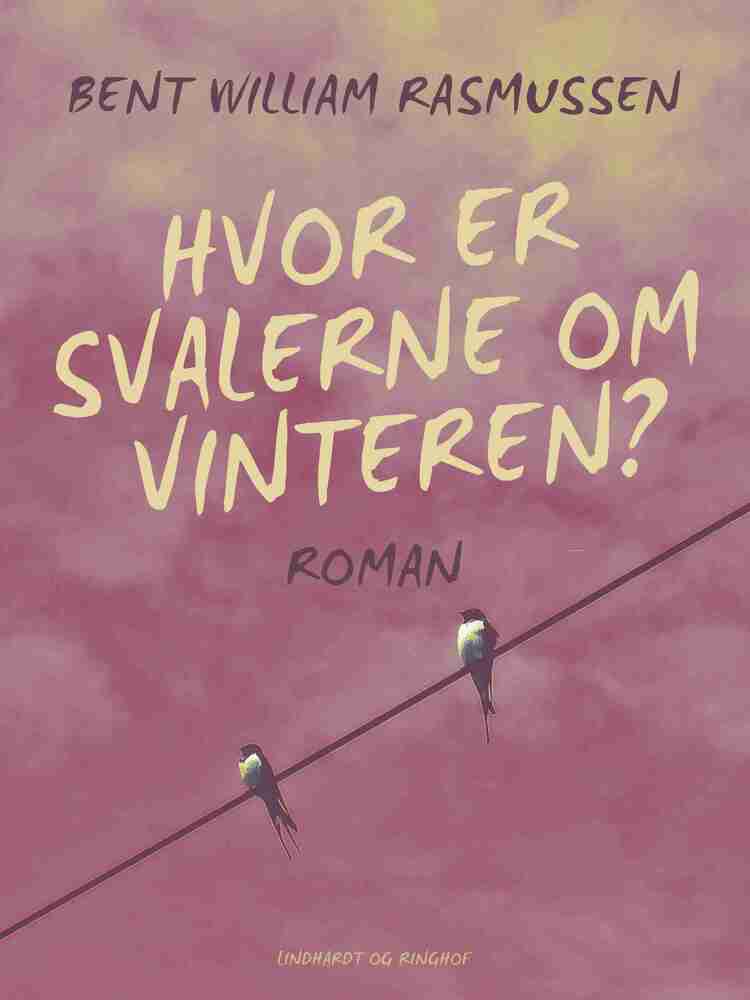 Hvor er svalerne om vinteren?