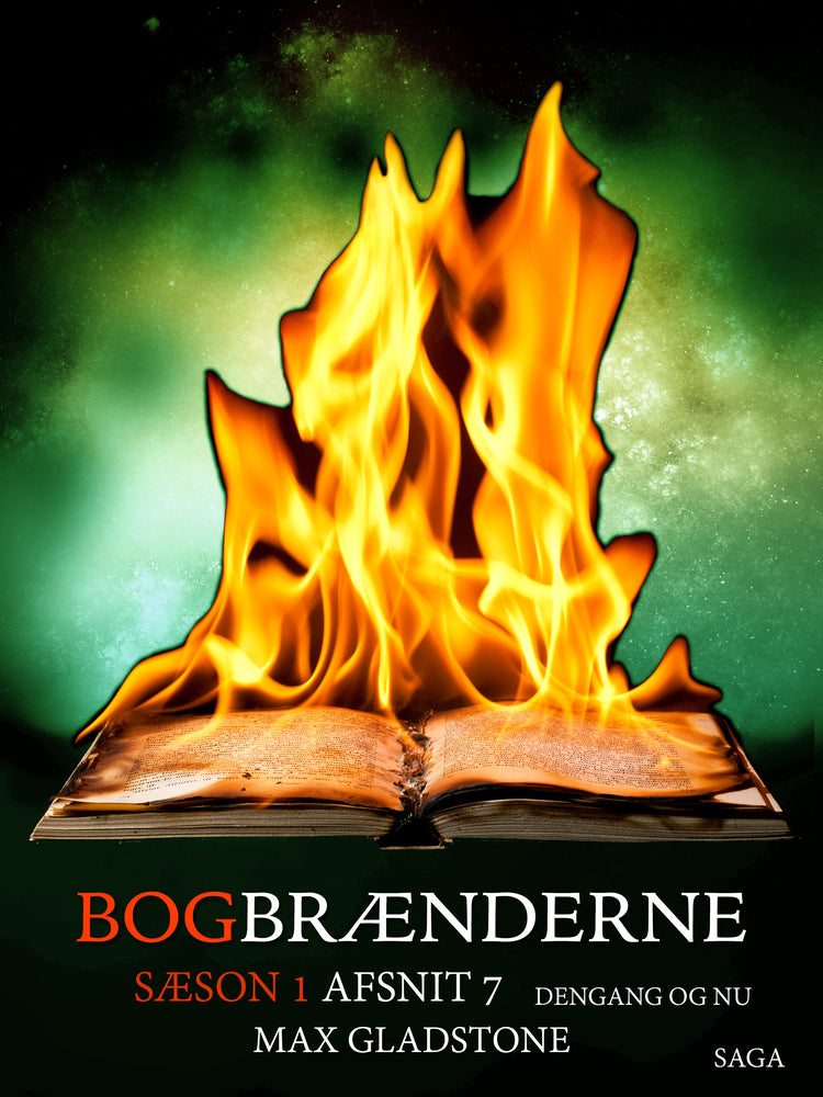 Bogbrænderne: Dengang og nu 7