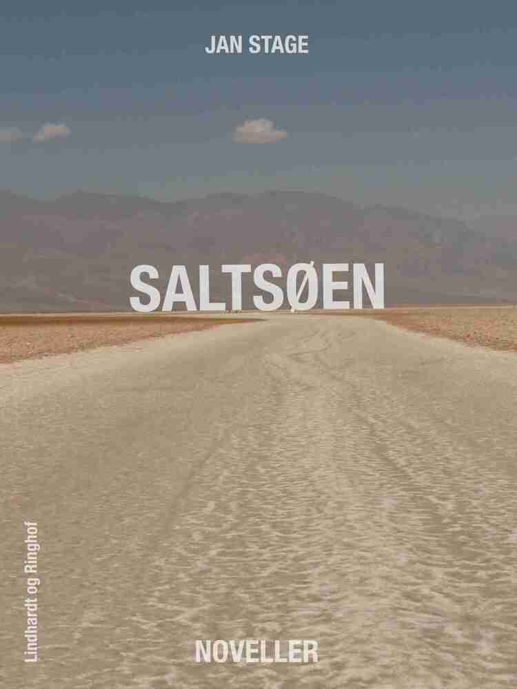 Saltsøen