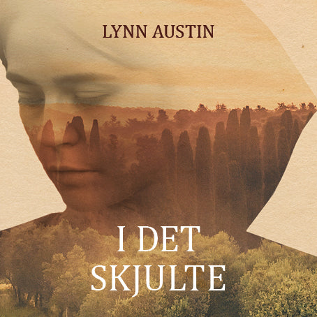 I det skjulte