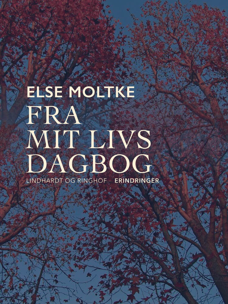 Fra mit livs dagbog