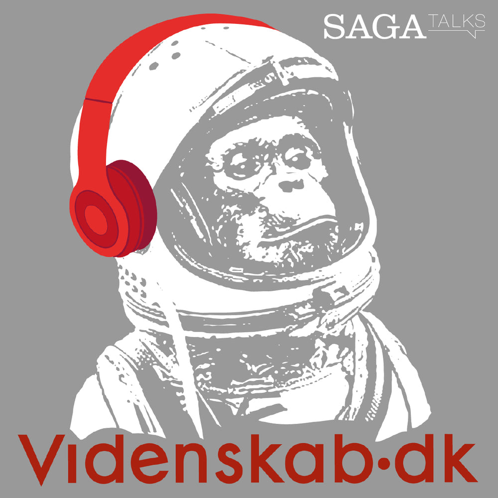 Videnskab.dk #27 - Hvad kan vi bruge historie til? - Videnskab.dk