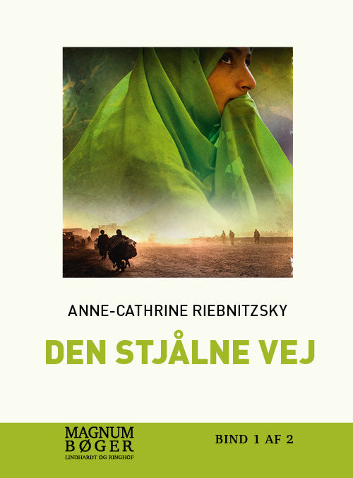Den stjålne vej