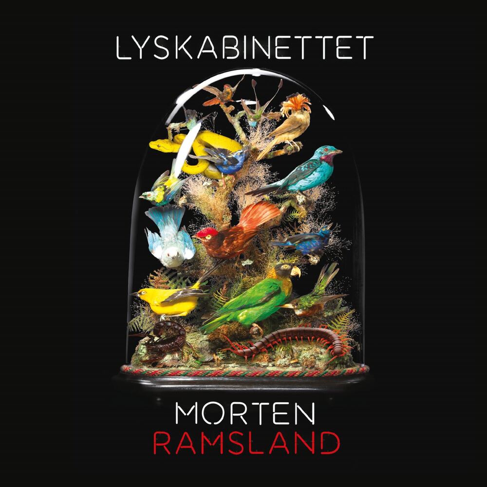 Lyskabinettet