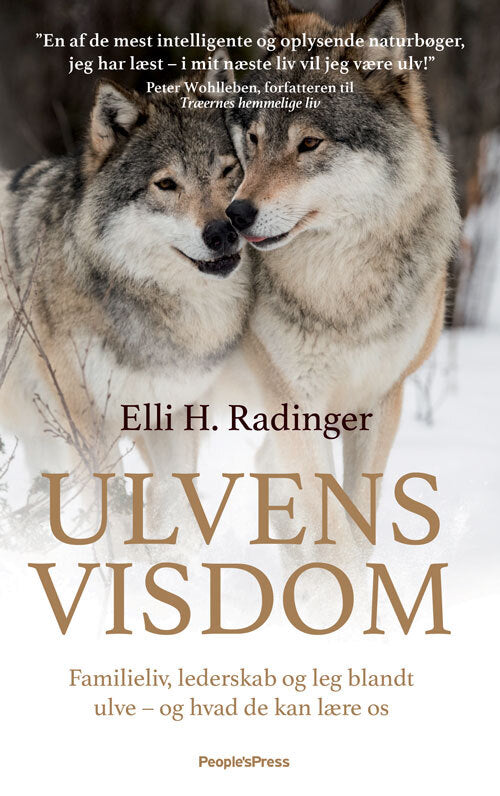 Ulvens visdom
