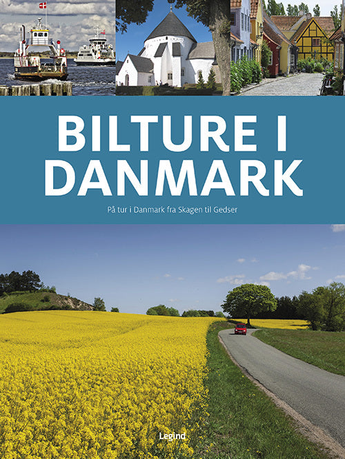 Bilture i Danmark