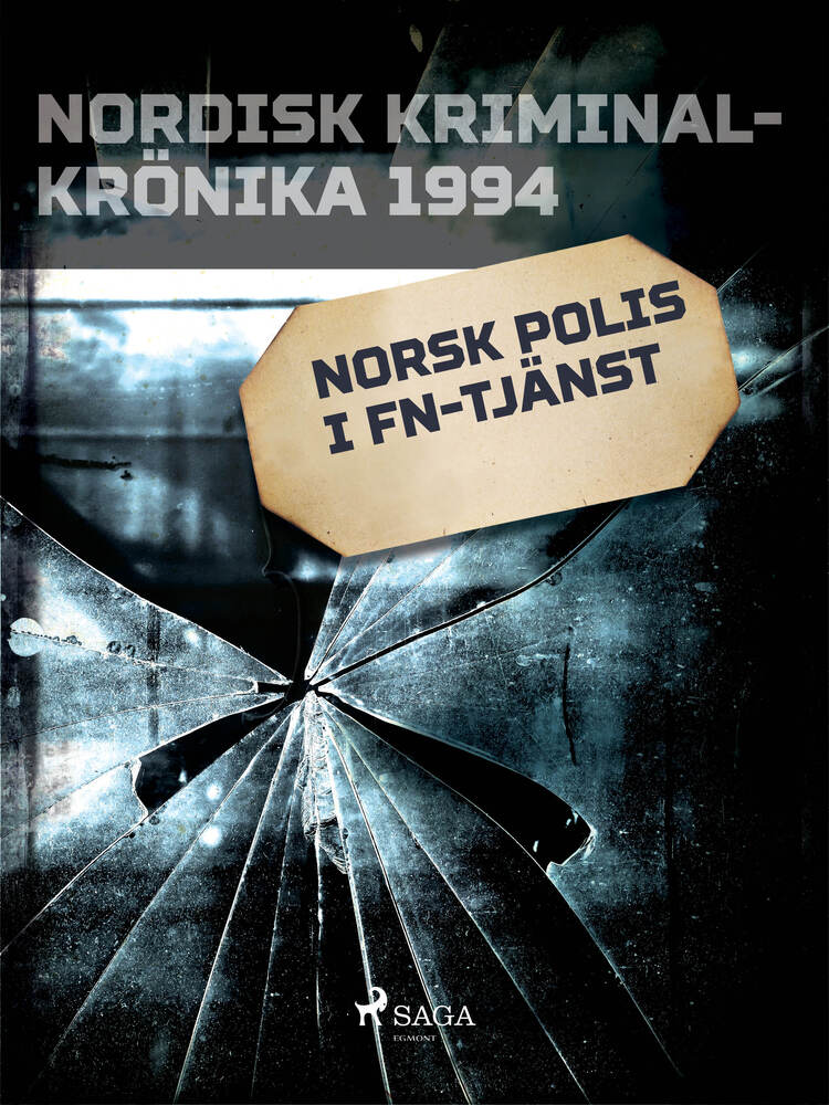 Norsk polis i FN-tjänst
