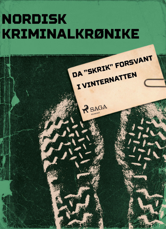 Da "Skrik" forsvant i vinternatten
