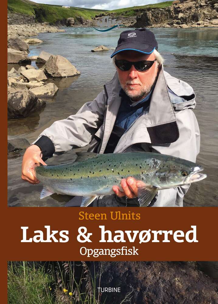 Laks og havørred - Opgangsfisk