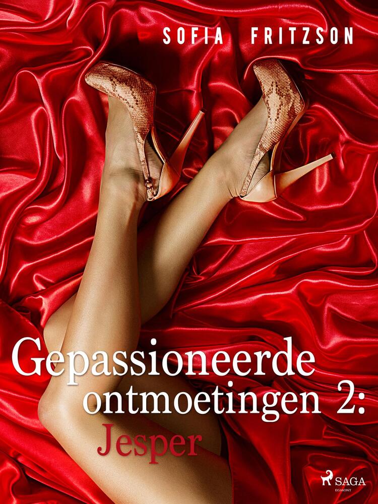 Gepassioneerde ontmoetingen 2: Jesper - erotisch verhaal